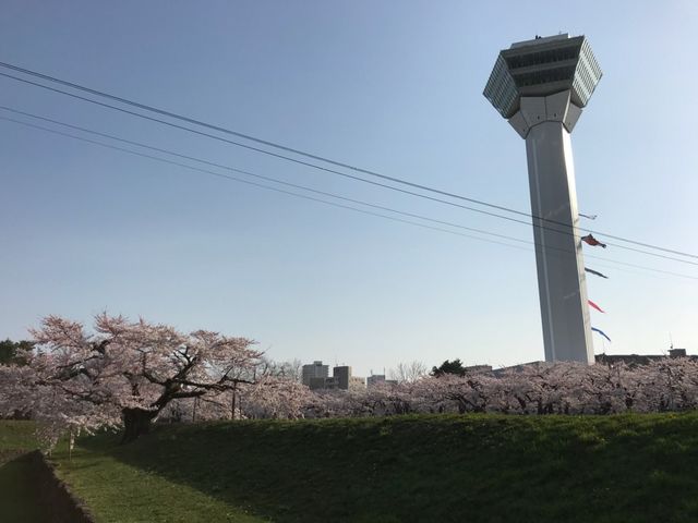 �^���[�ƍ�_�ܗŊs����