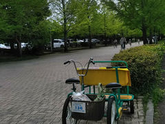 kapibaraさんさんの秩父ミューズパークサイクリングセンターの投稿写真1