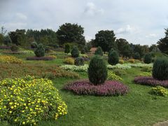 ~j}̎Rt[Z^[EnCW̑ւ̓eʐ^1