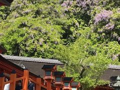 ԂƂڂ̈ʍc@lޗǌrW^[Yr[[ւ̓eʐ^1