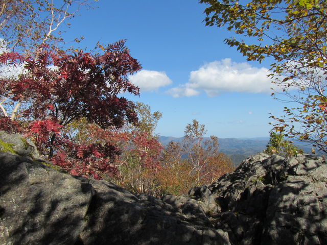 �K����̊�ƍg�t_�E�G���V���x