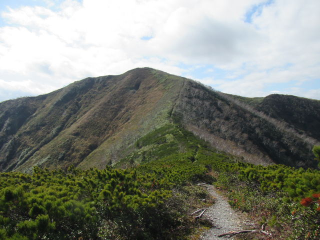 �R�����悭������悤�ɂȂ���_�E�G���V���x