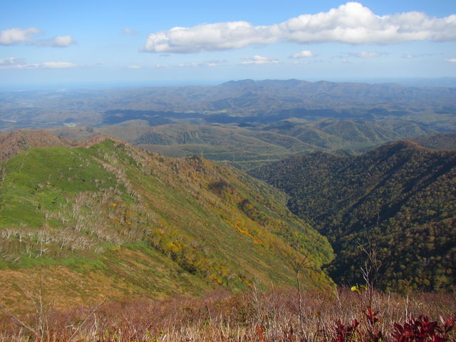 ���ォ��̒���_�E�G���V���x