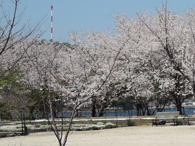 kenken����̍��Ζ��ւ̉������̍��̓��e�ʐ^1