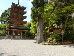 やんまあさんの海住山寺五重塔への投稿写真1