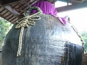 ̐E̒ځuL̚v̓eʐ^1