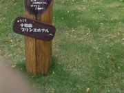 kenken̏\acΐΔȉ̓eʐ^1