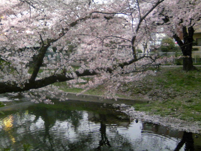 ӂ񂳂̍Γ(̂̓)̓eʐ^3