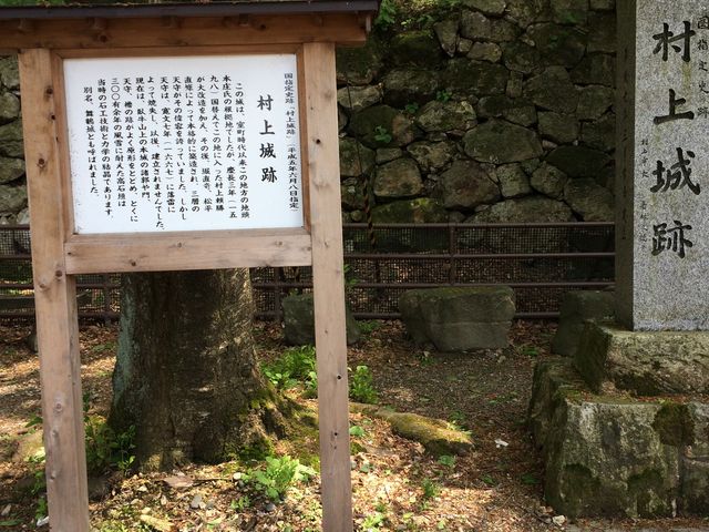 �V�����̓�����ł��B_������