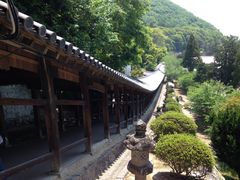 �g���Ð_�Ђ̎ʐ^1