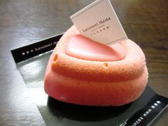 ߂̃JYm@CP_@AfBBfGւ̓eʐ^1