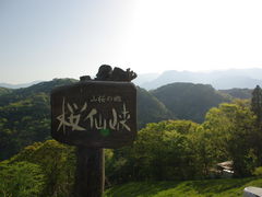 陸郷の山桜 桜仙峡 の口コミ一覧 じゃらんnet