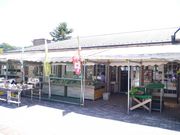 kate̒ӂꂠ̊ق̓eʐ^2