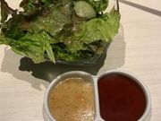 [䂳̗nă_CjObonboriVhX̓eʐ^1