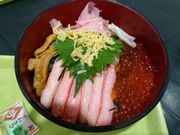 ܂N̓̉w ݂Ă炷̓eʐ^1