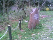 ӂ񂳂̍Γ(̂̓)̓eʐ^2