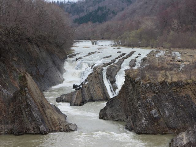 �_�C�i�~�b�N�ȗ���_�璹����