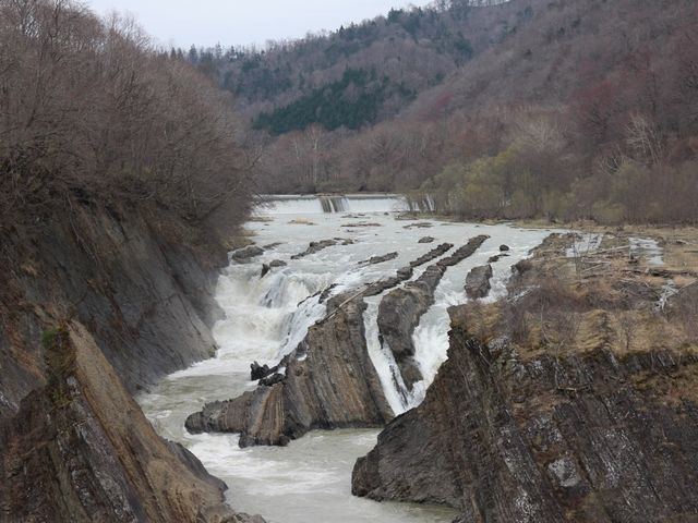 �召�����̑�_�璹����