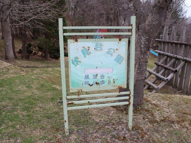 ����_�R�m�����������