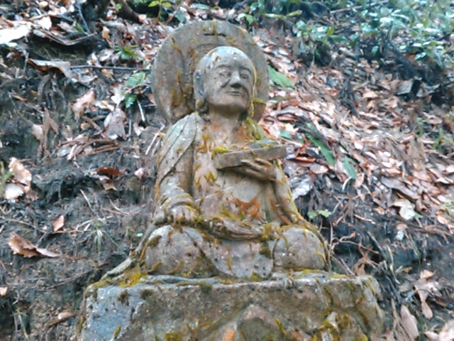 L^J̋򐄒nEՂ̓eʐ^2