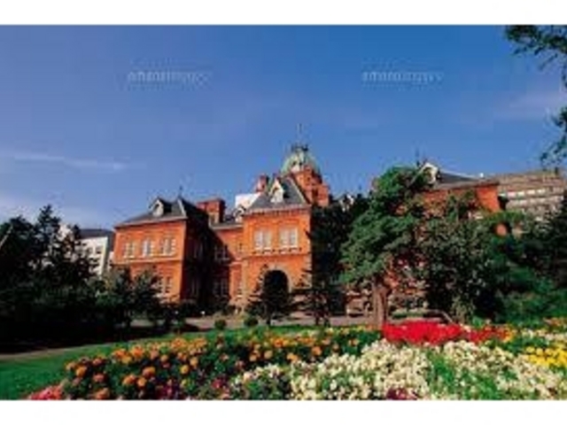 ���Ԃ����ꂢ_�k�C�������{����(�Ԃ�񂪒���)