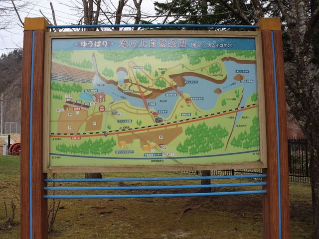 �����ē���_��̏�����i�|���\�E�J���C�R�^���璹�P��j