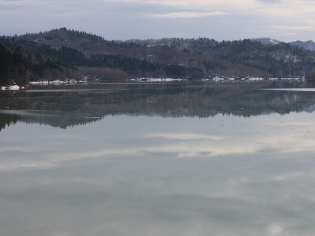 �c��̃V���[�p����_�V���[�p����