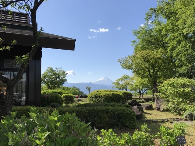 xmRYɌ܂B_XgxmReX (otT[rXGA)