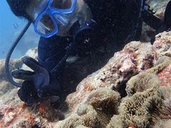 񂳂Kofa@and PuPuւ̓eʐ^1