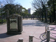 ���΂���̓V�_���������ւ̓��e�ʐ^1