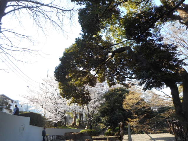 ����_�R�����