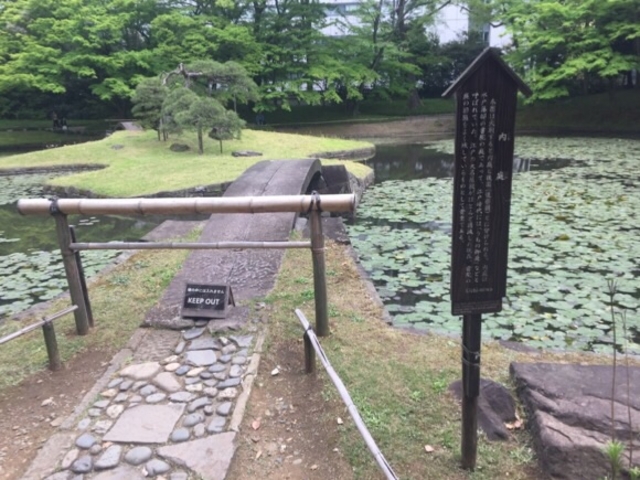 �����Ȓr���ǂ��ł��B_����i���ΐ��y���j