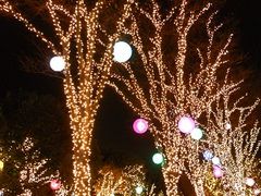 񂳂̃^JV}@^CYXNGAւ̓eʐ^1