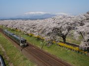 ܂[܂񂳂̂΂̓eʐ^1