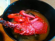 ǘT̐Hy̖h Ƃۂ̓eʐ^1