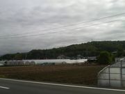 Ƃ񂳂̎R؈Ղ̓eʐ^2