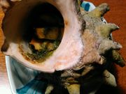 ǘT̐Hy̖h Ƃۂ̓eʐ^1