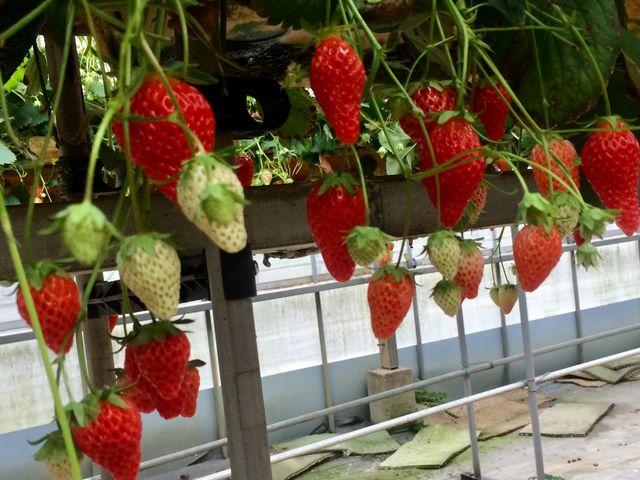 ������������^_^_������������