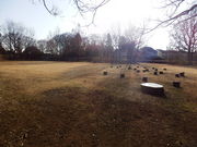 hituji̐[厛Ձis_AEAj̓eʐ^1