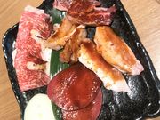 낳̍јaē r[t@[Y rq̓eʐ^1