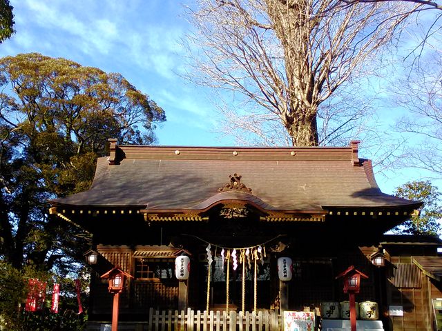 �Гa���ɂ���C�`���E������܂�_���ꑽ�_��