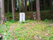 ˂񂳂̊ψ팰̓eʐ^4