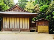 ˂񂳂̊ψ팰̓eʐ^6