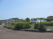 Ԃ񂳂̐˔_ƌ̓eʐ^3