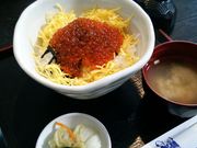 Hirotan̂̂Ƃ{X̓eʐ^1