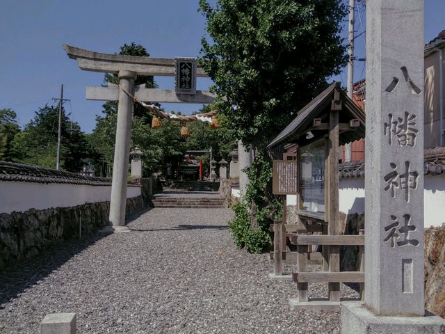 ��씪���_��_��씪���_��