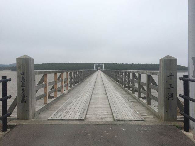 �\�O�΂̏�ɉ˂��钆�̓��V������_�\�O��