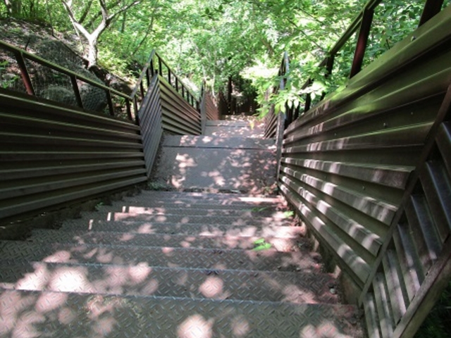 ����́A�R�T�x���炢�͂��肻���ȊK�i�̐^���́A�삪����Ă��܂��B�����ł��B_���m��N��