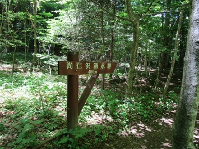 �Ƃ���ǂ���͕��R�ȓ�������܂��B�����܂ł���΁A����ɐi�ނ����B_���m��N��