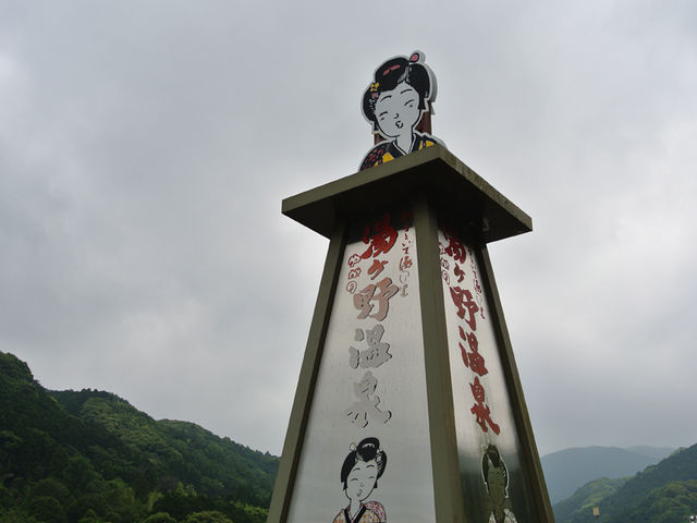 ����̓���_���P�쉷��